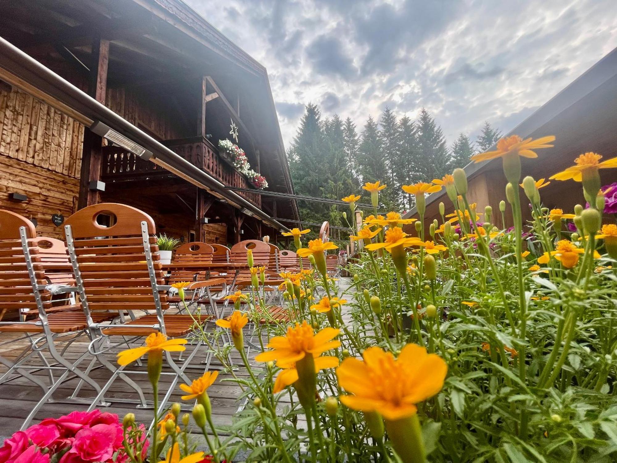Sweet Cherry - Boutique & Guesthouse Tyrol Ίνσμπρουκ Εξωτερικό φωτογραφία